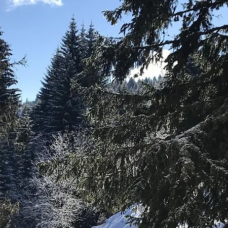 Appartement Bettina Kopaonik